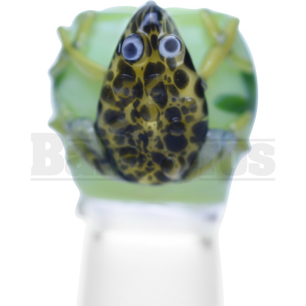 EMPIRE DOME POISONOUS TOAD ART DESIGN 2" KEY LIME GREEN 18MM